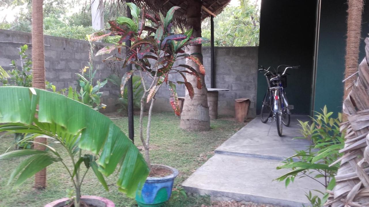Green House Yala Kirinda  Luaran gambar
